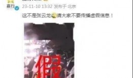 刘大锤爆料预言真相视频,预言真相视频背后的惊人内幕